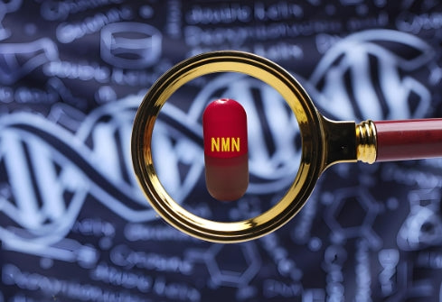 NMN服用方法及用量