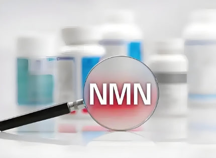 nmn服用三個階段