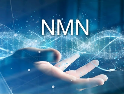 nmn服用的幾點建議