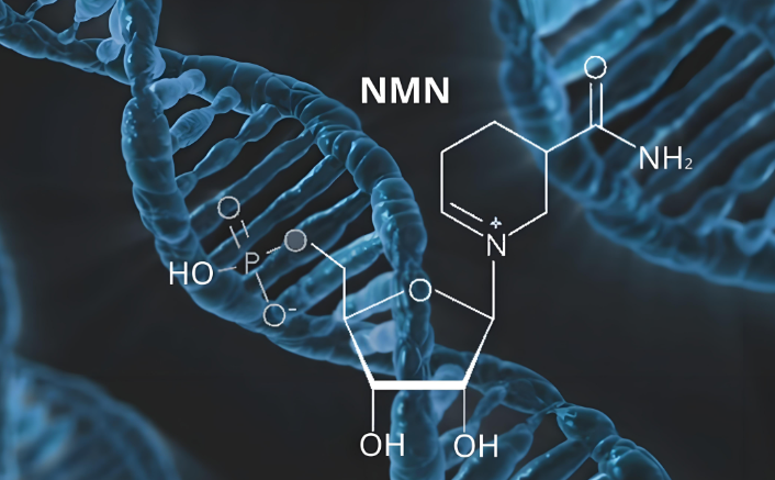 NMN是藥嗎?