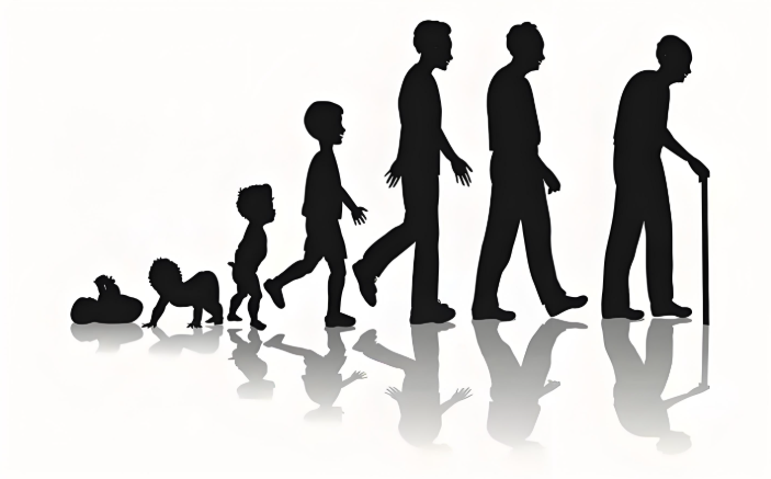 老化導致的焦慮如何調節