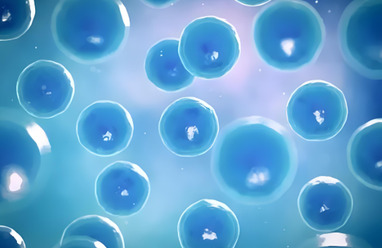 女性可以長期服用維生素B6和B12嗎