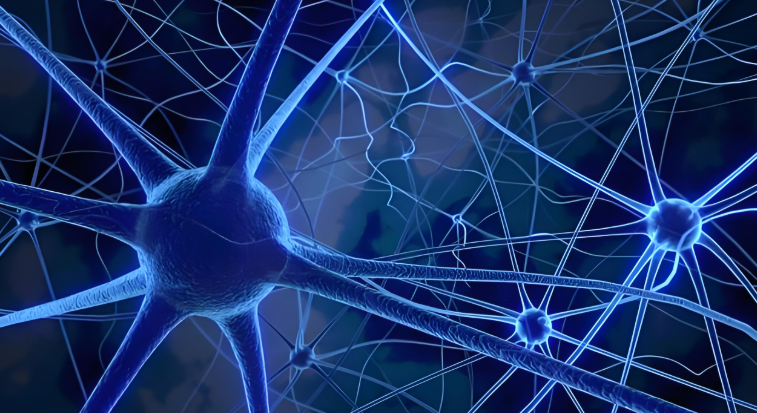 上班族怎樣幫大腦細胞充電,保持活力