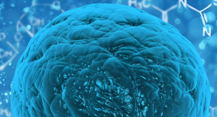 Nootropics的長期效應