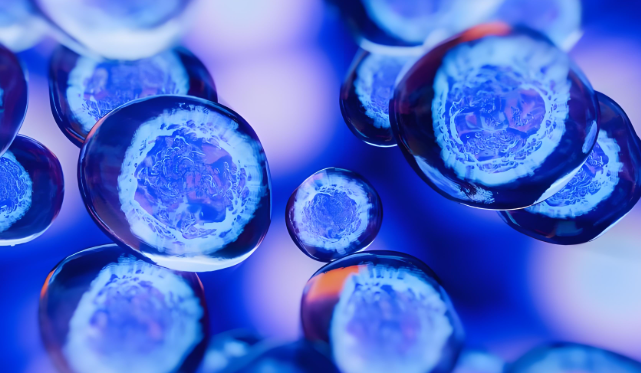 NMN吃多久有效果?