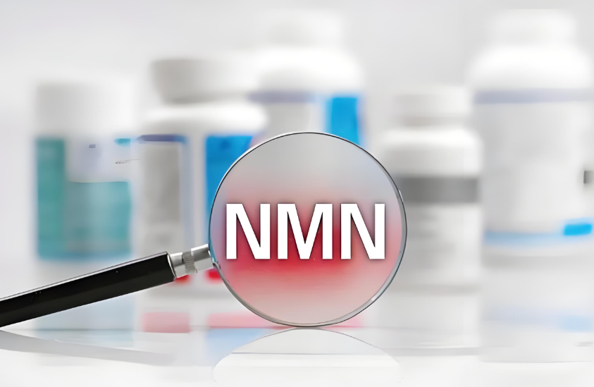 NMN是什么?揭秘NMN的特性与功能