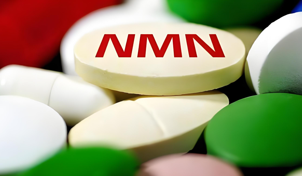 NMN副作用:你需要了解的真实影响