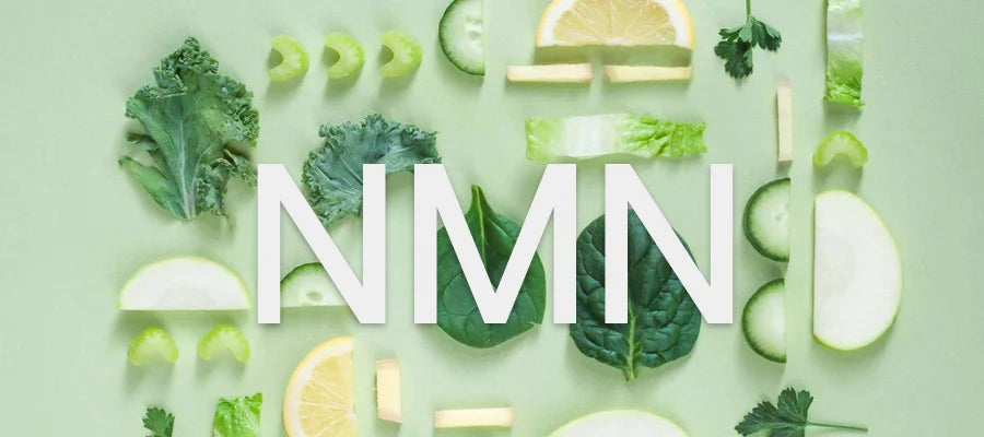 亞精胺能增強細胞活力並支持腦部功能:研究證實