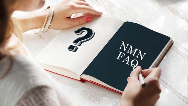 亞精胺是什麼?為什麼它對大腦健康至關重要?