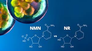 白藜蘆醇的副作用:香港人應注意的事項